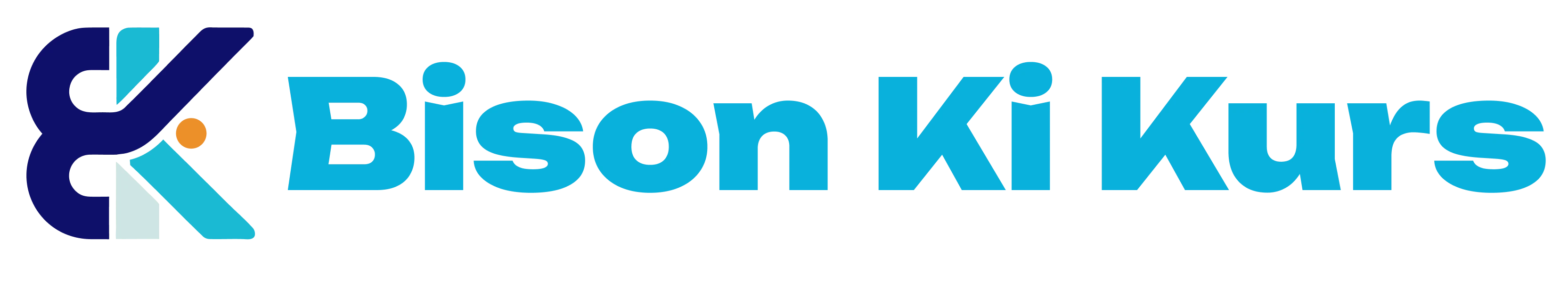 Bison Ki Kurs